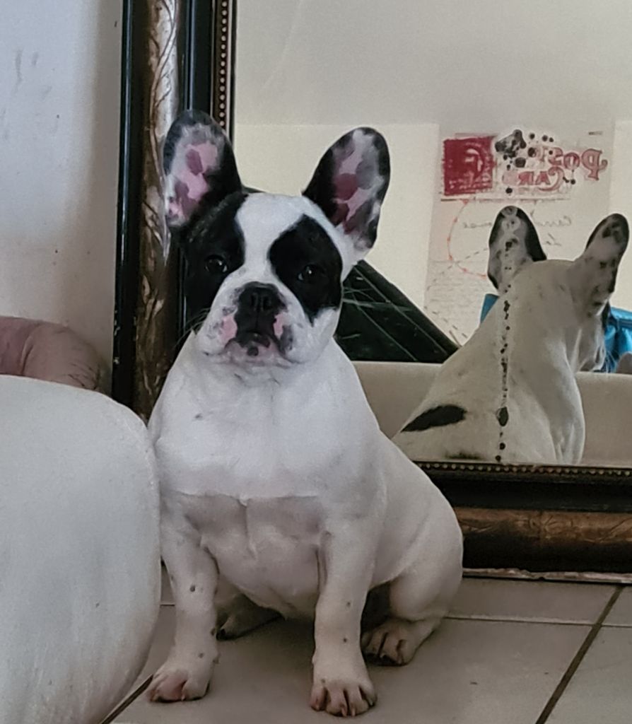 Ta aroa (Sans Affixe)