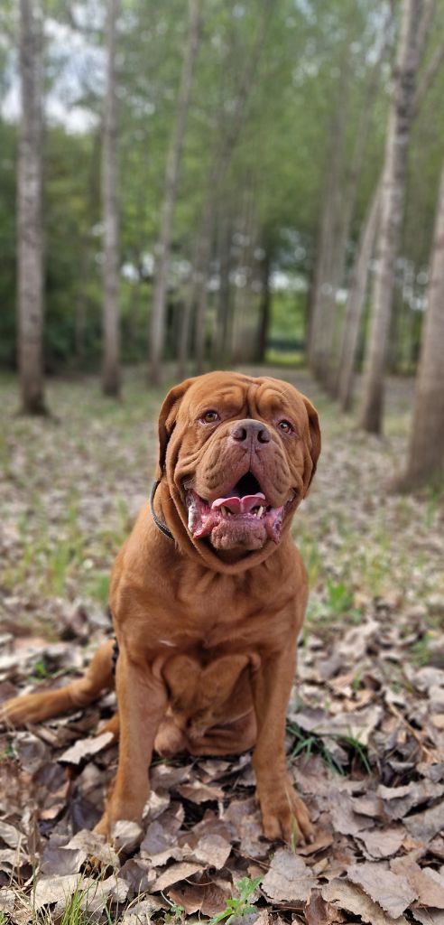 Seïko Des Diamants Enchantés