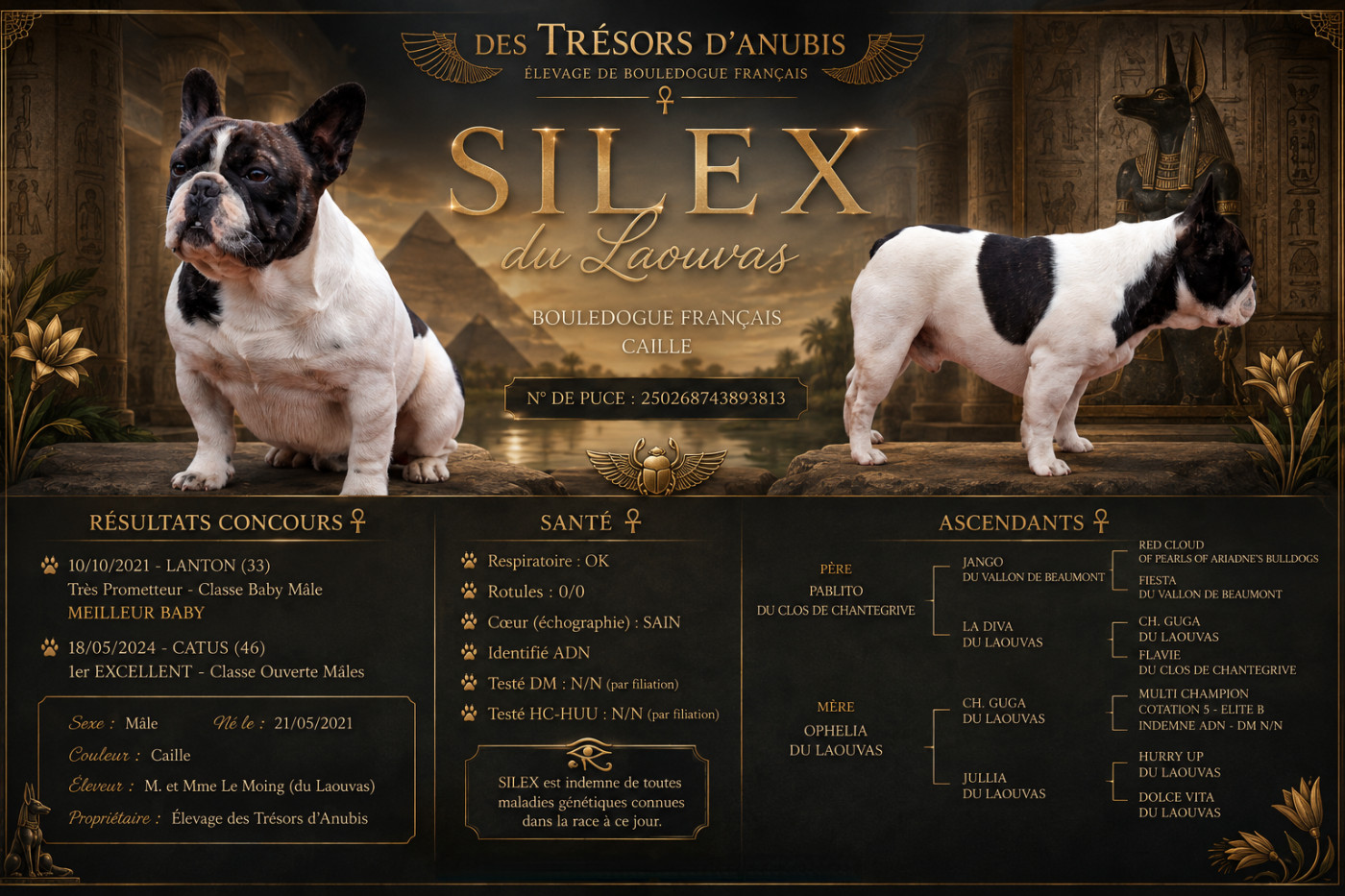 Silex Du lavouas